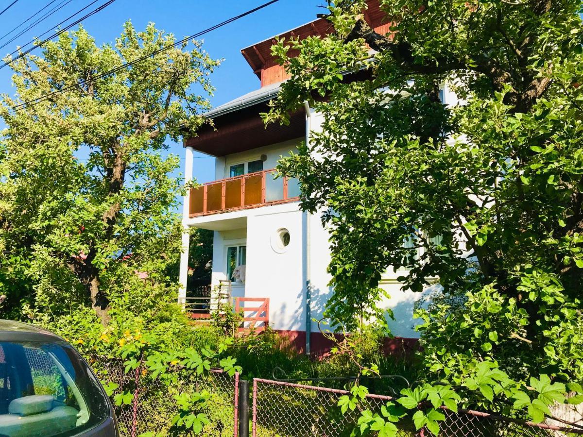 Apartament Vica Gura Humorului Exteriör bild