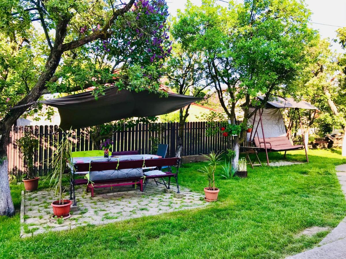 Apartament Vica Gura Humorului Exteriör bild